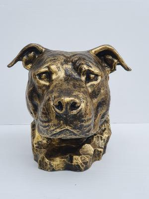 Statue Buste de Pitbull en Résine Bronze - 40cm