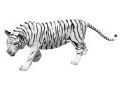 Sculpture Tigre blanc grandeur nature L-160cm